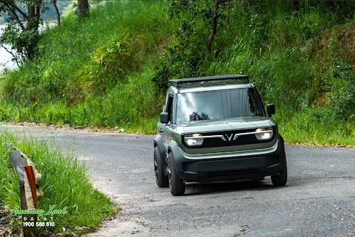 Kinh Nghiệm Du Lịch Đà Lạt 3 Ngày 2 Đêm Dành Cho Người Mới