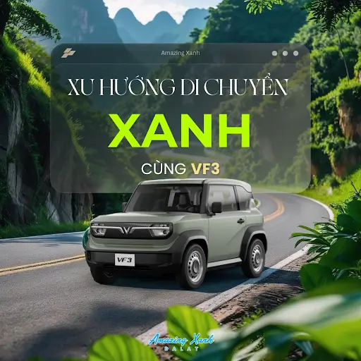 Amazing Xanh đang góp phần bảo vệ môi trường Đà Lạt như thế nào?