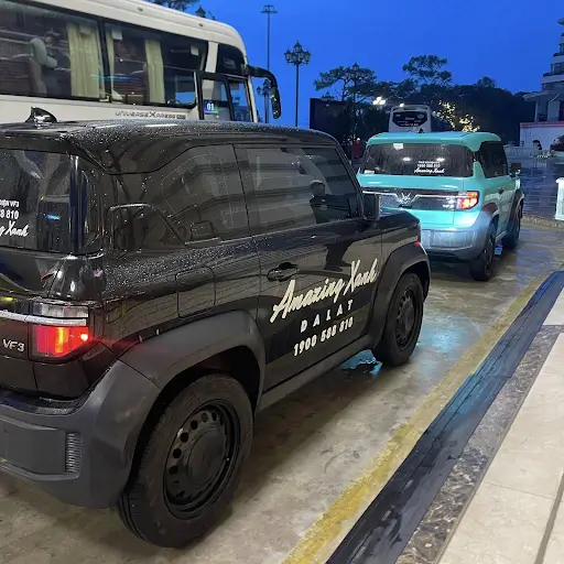 Amazing Xanh đang Góp Phần Bảo Vệ Đà Lạt Như Thế Nào?