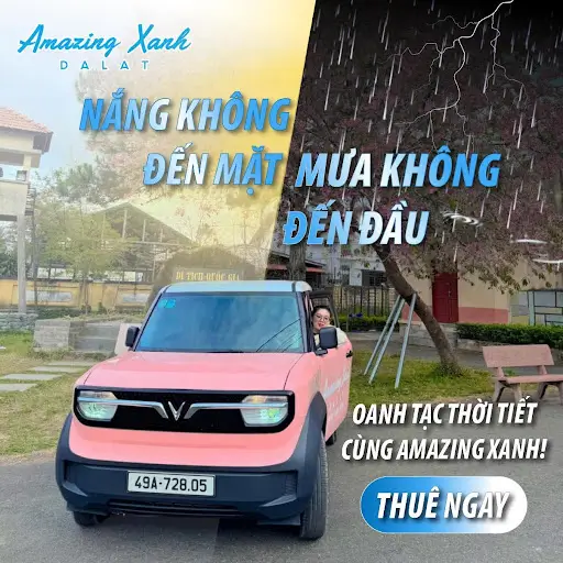 Xe điện VinFast VF3 mất âm thanh, lỗi CarPlay - Cách xử lý đơn giản không cần vào xưởng 3 Có Nên Thuê Xe điện đi Chơi đêm ở Đà Lạt Không?