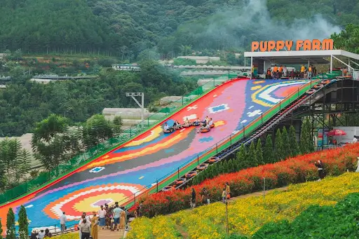 Những địa điểm vui chơi cho trẻ em tại Đà Lạt khi đi xe điện?